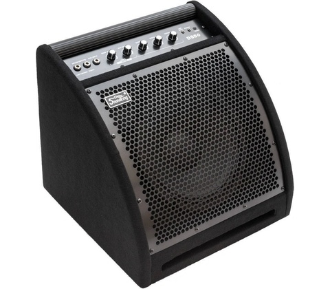 Soundking DS50