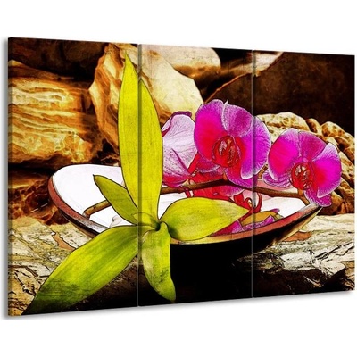 Fialová orchidej plátno 3 90x60