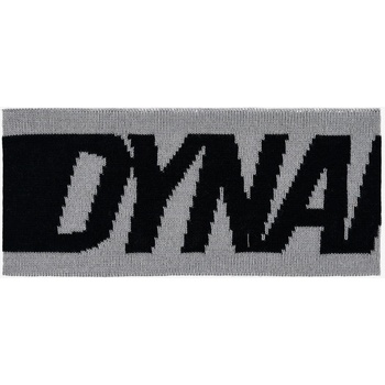 Dynafit Light Logo Alloy