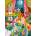 Pieces & Peace - Puzzle Magical Moonlight Reading Room - 500 piese