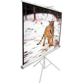 Elite Screens T136NWS1