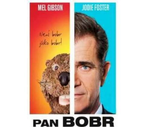 Pan Bobr DVD