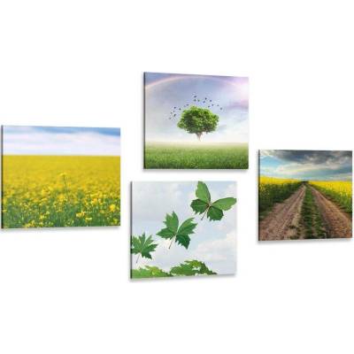Set obrazů oslnivá příroda - 4x 40x40
