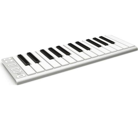 ESI Xkey 25
