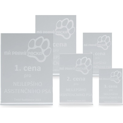 Skleněná plaketa s laserovým gravírováním 80x125mm