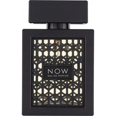 Rave Now parfémovaná voda unisex 100 ml