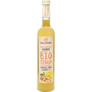 Hollinger Sirup zázvorový 0,5 l