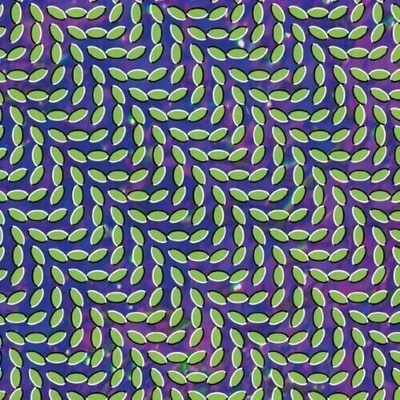 Animal Collective - Merriweather Post Pavilli (2 LP) (5034202021612)