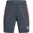 Under Armour CHALLENGER TRAIN
