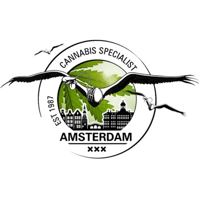 Dutch Passion Mokums Tulip semienka neobsahujú THC 7 ks