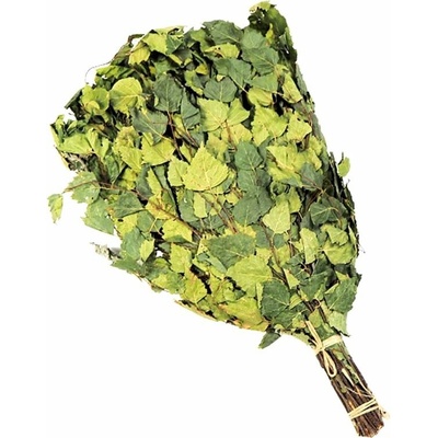 Březový venik s pelyňkem 55-60cm
