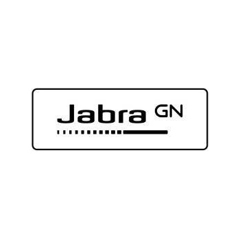 Jabra Evolve 20 SE Mono USB C/A (4993-823-369)
