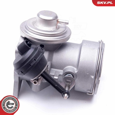 AGR-Ventil ESEN SKV 14SKV091