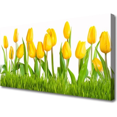 Obraz na plátně Tulipány 100x50 cm
