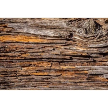 DIMEX ART Флизелинов фототапет кора на дърво 375 x 250 см