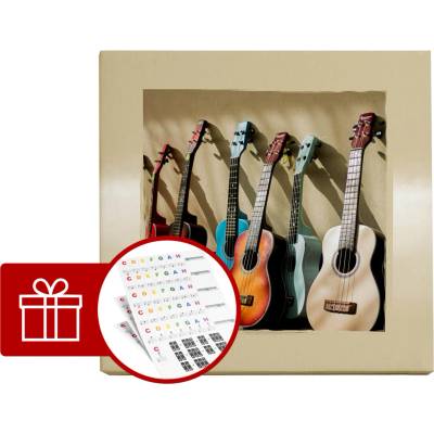 DISK Art Akustický obraz - Ukulele (60 x 60 x 8)