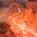 Morbid Angel - Blessed Are The Sick Digipack CD - Full Dynamic Range Remastered Audio CD
