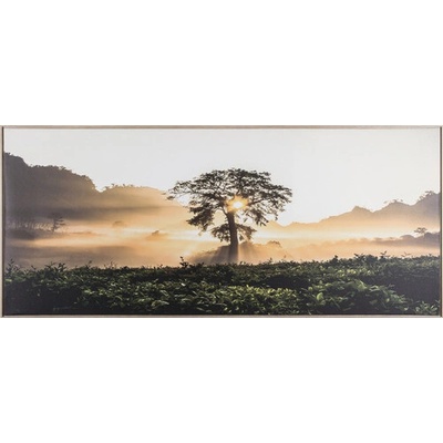 Obraz v ráme Shadow Strom 59 x 134 cm