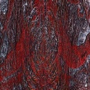 Asfast - Prime Same LP