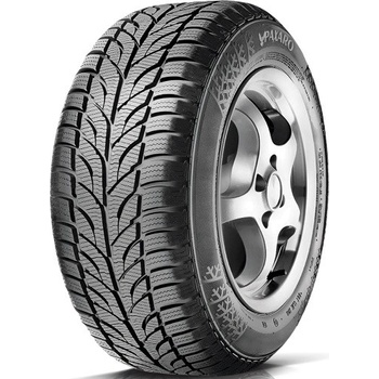 Paxaro Winter 205/55 R16 91T