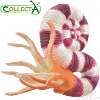 Collecta Pravitoceras