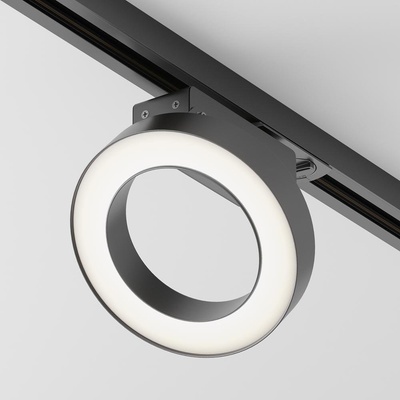 MAYTONI TR044-1-12W4K-B