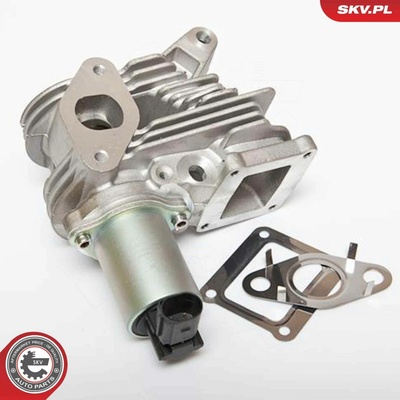 AGR-Ventil ESEN SKV 14SKV036