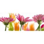 DIMEX ART Панорамни флизелинов фототапет пролетни цветя 375 x 150 см