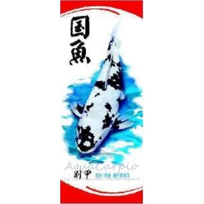 Osaga Koi vlajka (Bekko)