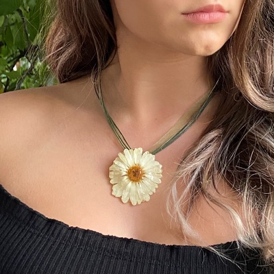 Meganflo Бяла маргарита