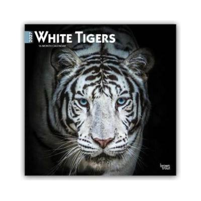 White Tigers Weiße Tiger 16-Monats 2027