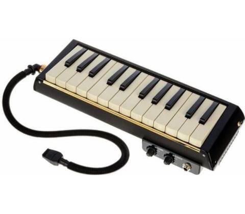 Hammond PRO-24B