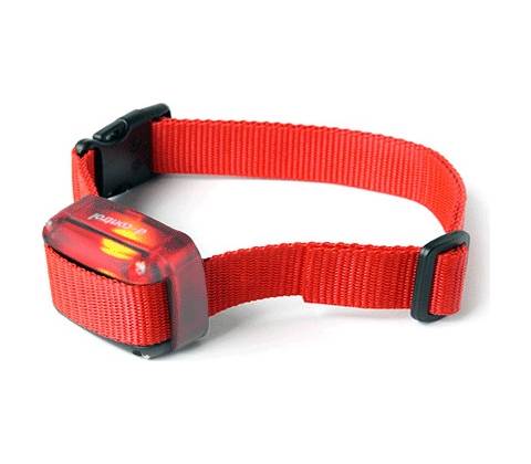 DogTrace d-control ISZ