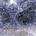 Steve Roach - InnerZone CD