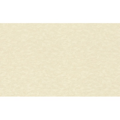 Rasch 964813 vinylová tapeta na zeď Filigrano, rozměry 1,06 x 10,05 m