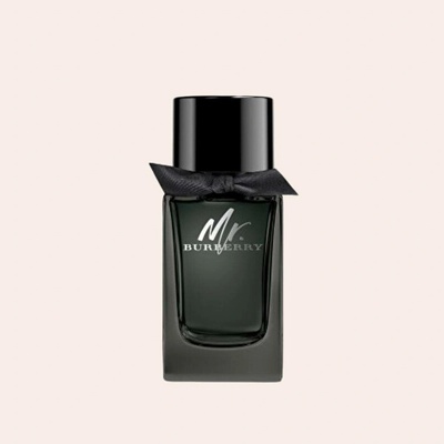 Burberry Mr. Burberry toaletní voda pánská 50 ml