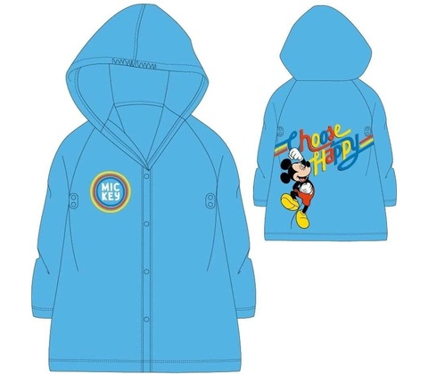 E plus M Mickey Mouse