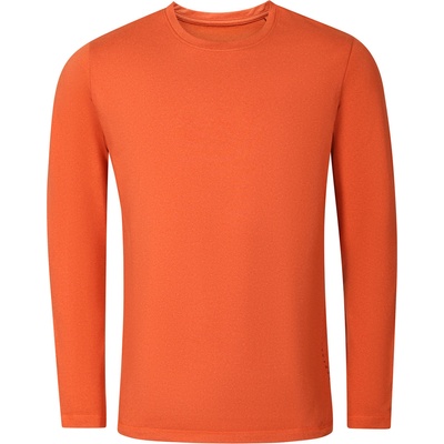 ALPINE PRO Мъжка бързосъхнеща тениска ALPINE PRO LOUS sun orange ALPINE PRO | Oranzhev | МЪЖЕ | XL