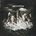 Awolnation - Run LP