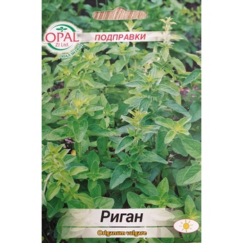 Opal Zi Риган Оriganum vulgare