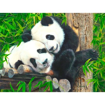 SunsOut - Puzzle Bamboo Buddies - 300 piese