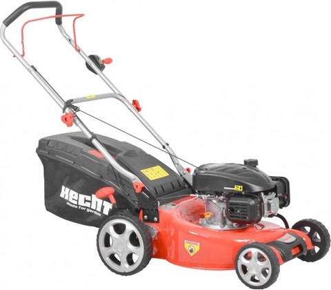 HECHT 546