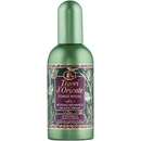 Parfémy Tesori d'Oriente Forest Ritual parfémovaná voda unisex 100 ml