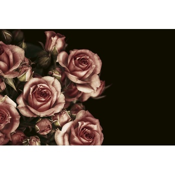 Image 1 of DIMEX ART Флизелинов фототапет цветен фон 375 x 250 см