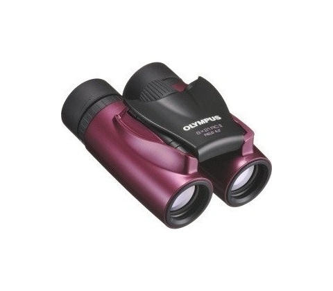 Olympus 8x21 RC II