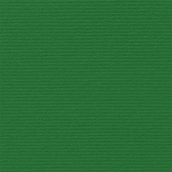 Image 1 of Fabriano Картон Elle Erre, 70 x 100 cm, 220 g/m2, № 111, зелен (46470111/10_VERDE)