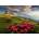 Dino - Puzzle Italian Dolomites - 2 000 piese