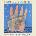 Warner Kronos Quartet: Performs Philip Glass - CD (029716)
