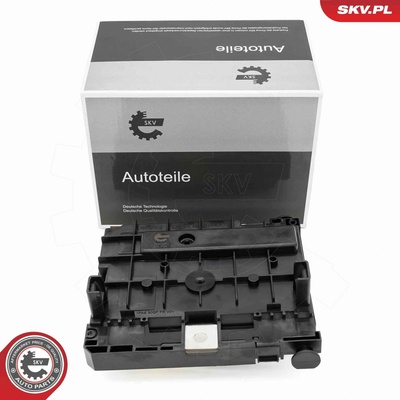 Řídící jednotka, řízení motoru ESEN SKV 96SKV323
