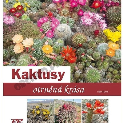 Kaktusy